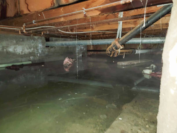 Best 24/7 water damage repair  in Estancia, NM