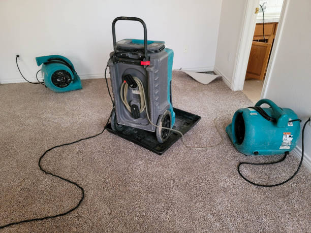 Best Residential water damage restoration  in Estancia, NM
