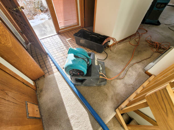 Best Flood restoration services  in Estancia, NM