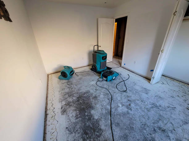 Best Residential water damage restoration  in Estancia, NM