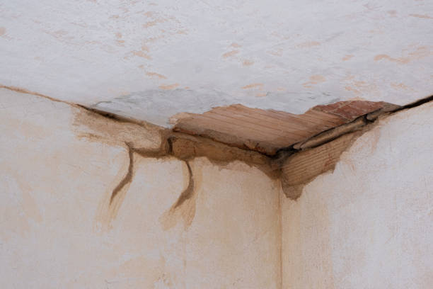 Best Water damage cleanup near me  in Estancia, NM
