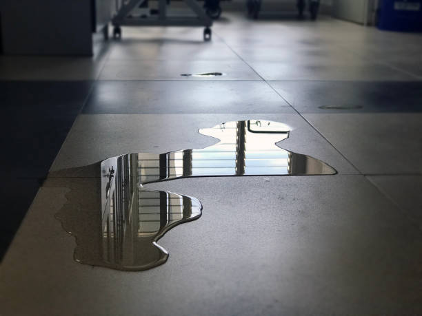 , NM Water damage restoration Company