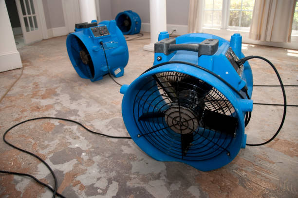Best Fire Damage Restoration  in Estancia, NM