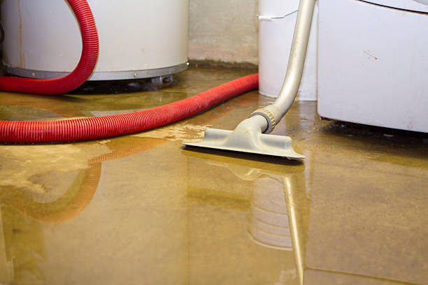 Best Ceiling water damage repair  in Estancia, NM