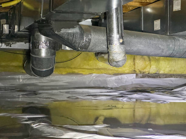 Best Professional water damage repair  in Estancia, NM