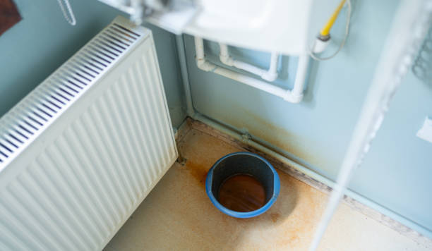 Best Carpet water damage restoration  in Estancia, NM