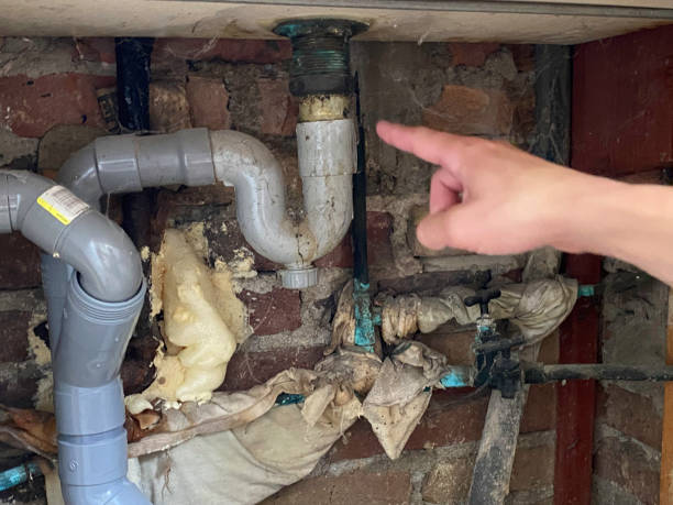Best Mold removal after water damage  in Estancia, NM